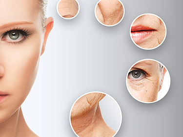 aging-Hyaluronsaure.jpg