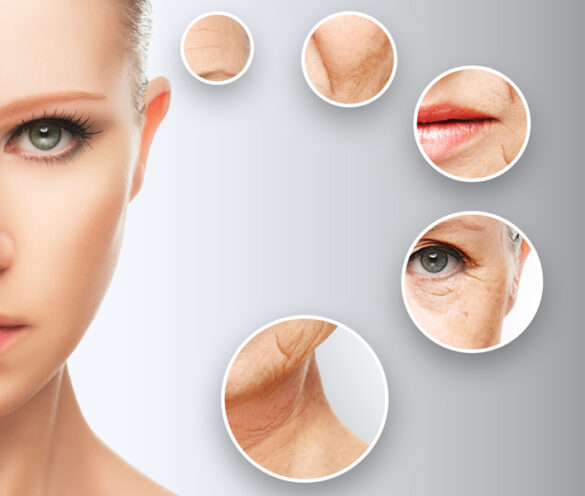 aging-Hyaluronsäure Hyaluronsäure